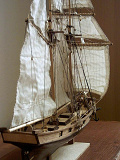 Albatros